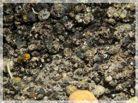 Bildnummer 20110920_0538A1206614