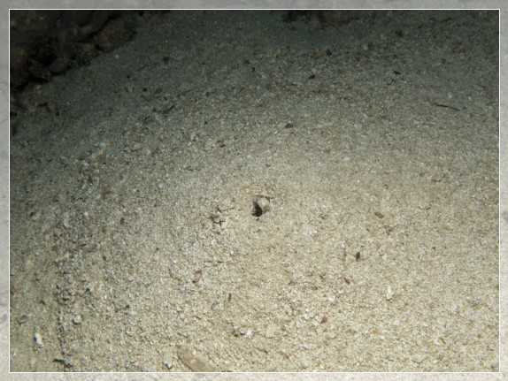 Bildnummer 20111005_1375A1057808